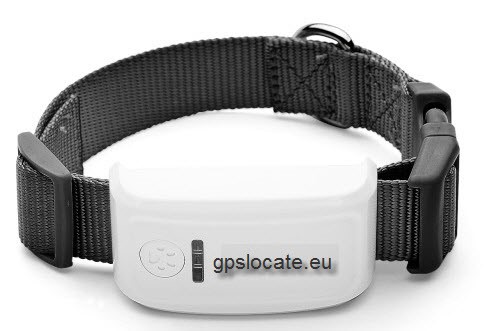 Pet GPS Tracker